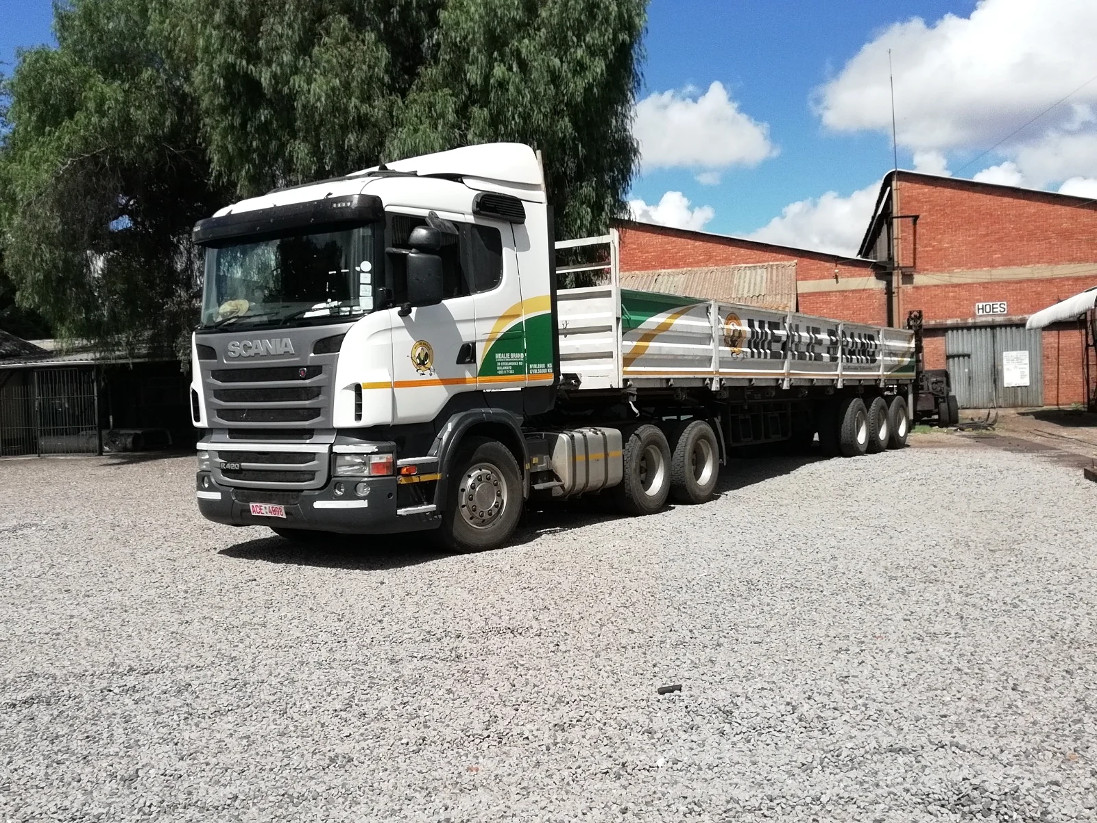 Scania truck and trailer with Mealie Brand fleet graphics
